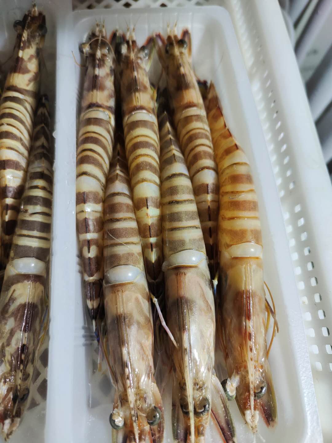 海鲜菜菜海鲜野生冷冻九节虾斑节虾5-6头装/盒/350克 蒸煮炒煎