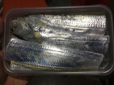 冷冻海捕小黄鳍带鱼清蒸好