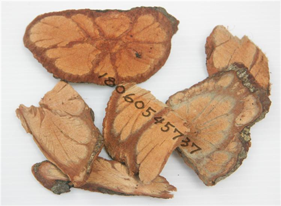 天然青草龙须藤 梅花入骨丹 九龙藤 过岗龙 羊蹄藤 干货500g包邮