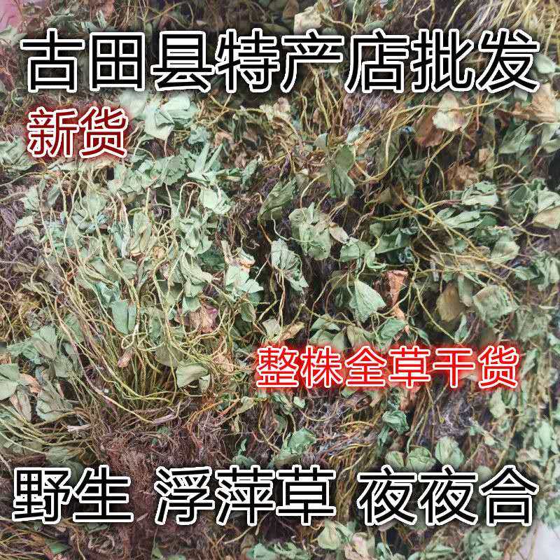 天然夜夜合 水萍草 浮萍草 田字草 四叶草 全草干货500g包邮