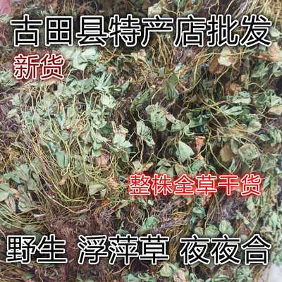 天然青草夜夜合 水萍草 浮萍草 田字草 四叶草 全草干货500g包邮