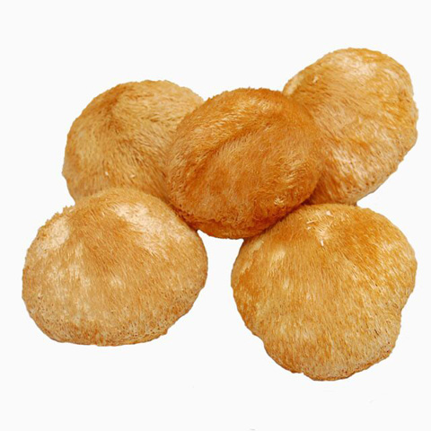 ¸£½¨ÌزúÌØ¼¶¹ÅÌïÑøÎ¸ºïÍ·¹½¸É»õ·Ç¶«±±Ò°Éú500g°üÓÊ