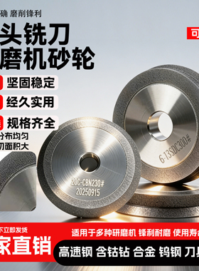 E12SDC220W铣刀钻头研磨机砂轮磨刀机钻石13ADX3金刚石CBN砂轮SDC