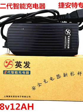 捷安特电动车充电器DZM481250/48V1.9A/英发充电器DZM481260