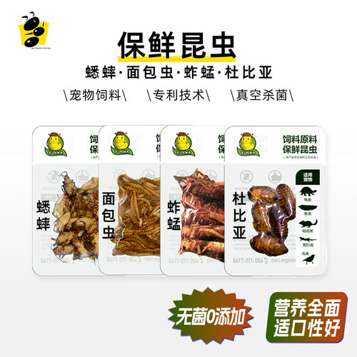蚂蚁空间站保鲜虫饲料无菌非活体