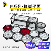 3D打印蚁巢蚂蚁生态盒子单品肯尼亚收获蚁红黑细长蚁巢蚂蚁空间站