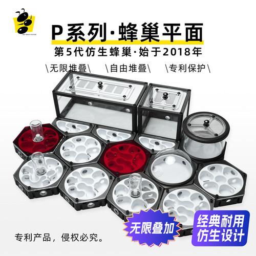 3D打印蚁巢蚂蚁空间站平面巢