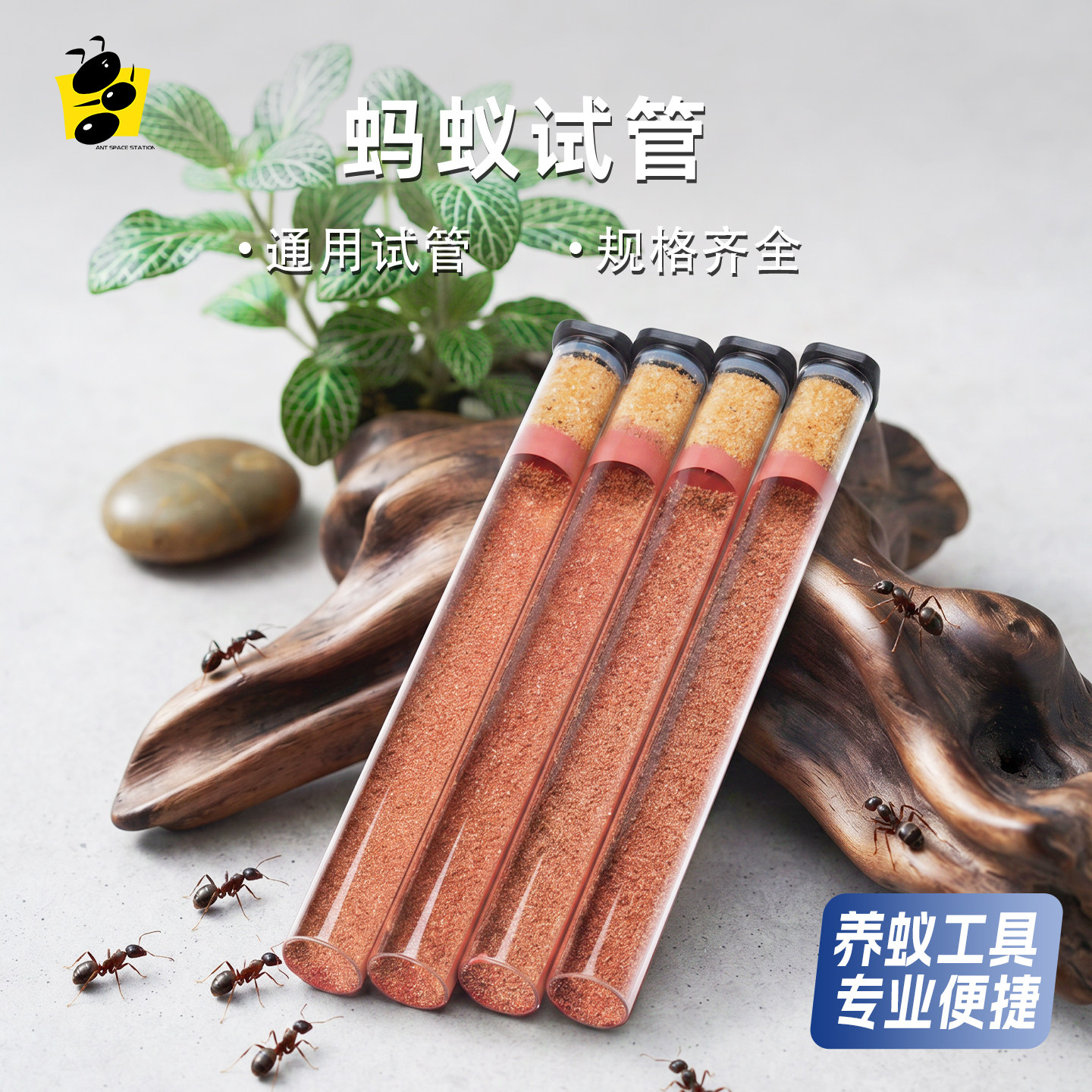 第二代蚂蚁试管精品手工制作铺地试管保湿试管具支试管试管巢图片