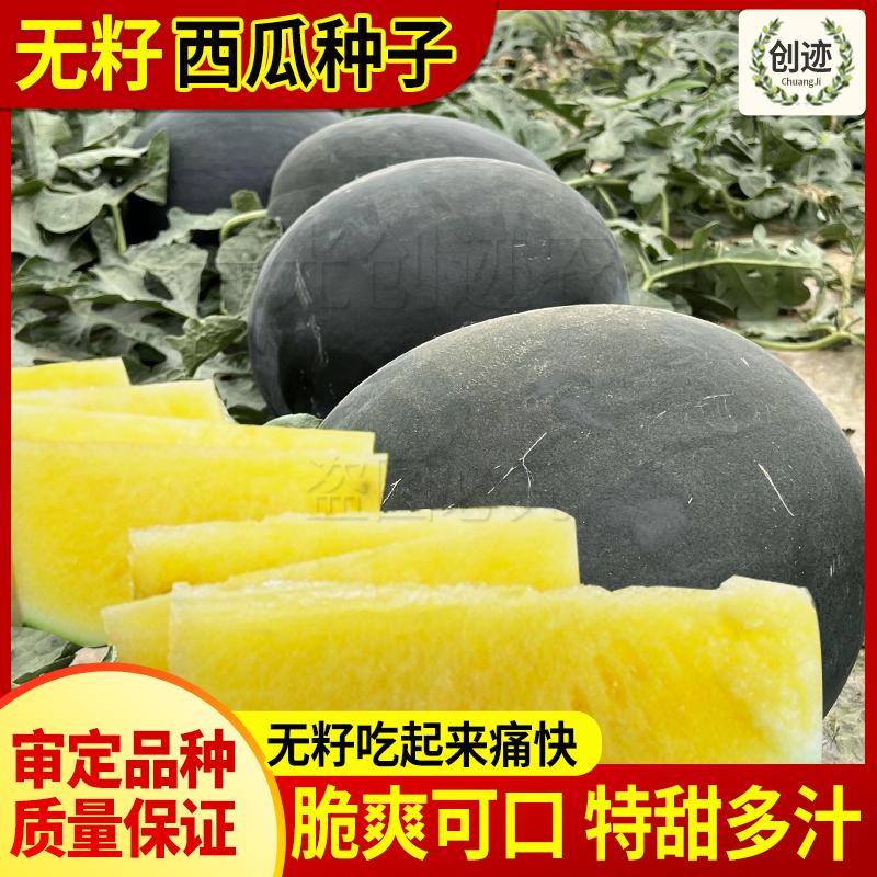 高产无籽西瓜种籽黄肉种植超甜