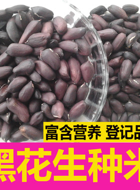 特高产馨吧夏季花生种子易种植