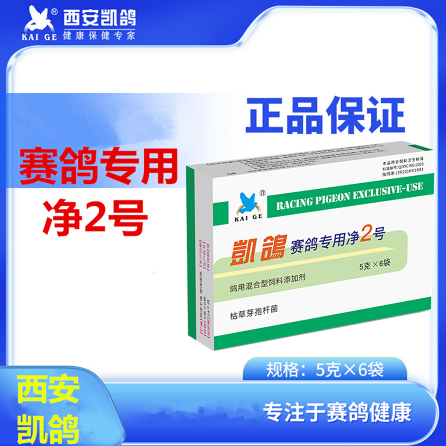 凯鸽净2号粉赛鸽子毛滴白点