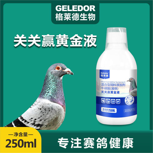 格莱德关关赢黄金液鸽肠道呼吸道