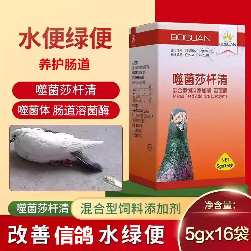搏冠噬菌莎杆清信鸽用品赛鸽沙门副伤寒水绿便肠道调理保健非鸽药