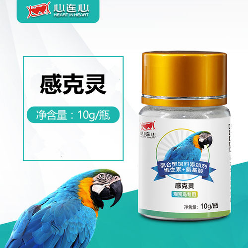 心连心感克灵鹦鹉清理呼吸道粘液