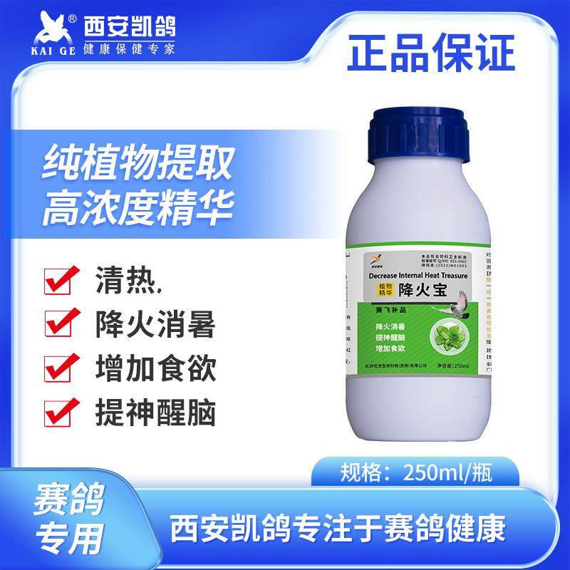 凯鸽降火宝赛鸽种鸽消暑清火绿色