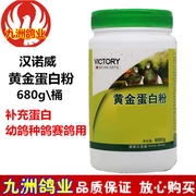 Bột protein vàng Chim bồ câu thuốc chim bồ câu đua chim bồ câu thuốc thuốc chim bồ câu thuốc vẹt chim dinh dưỡng bột protein - Chim & Chăm sóc chim Supplies