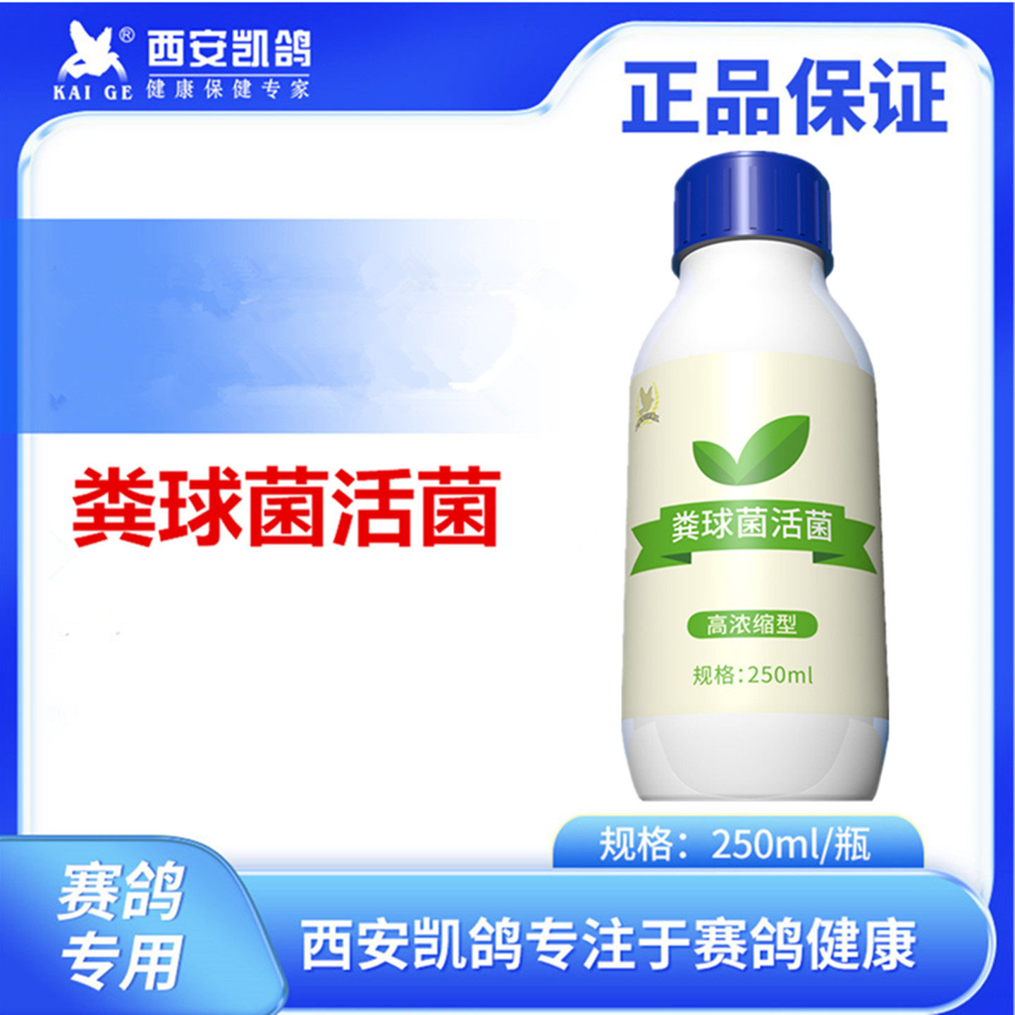 凯鸽粪球菌活菌赛鸽子肠道活性菌