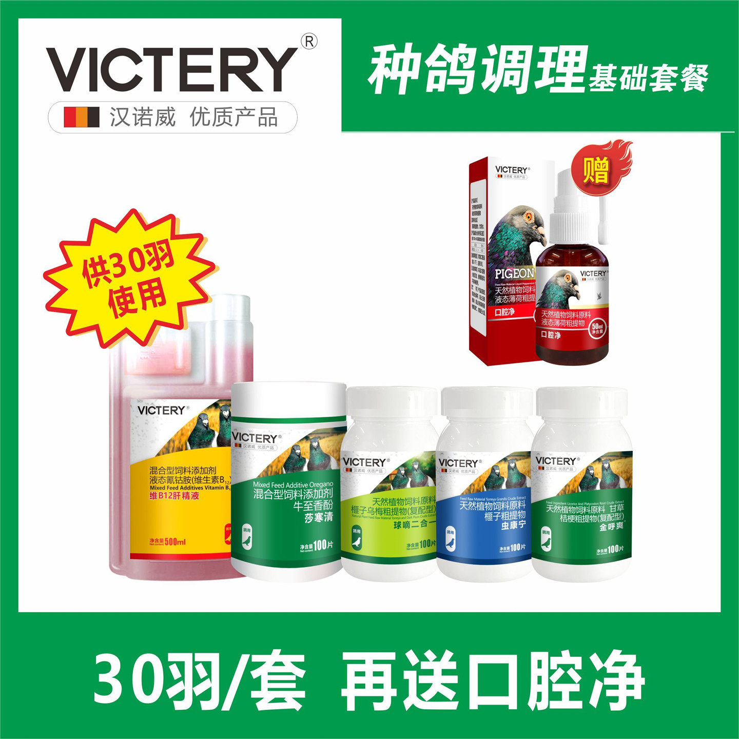 汉诺威种鸽调理套餐30羽