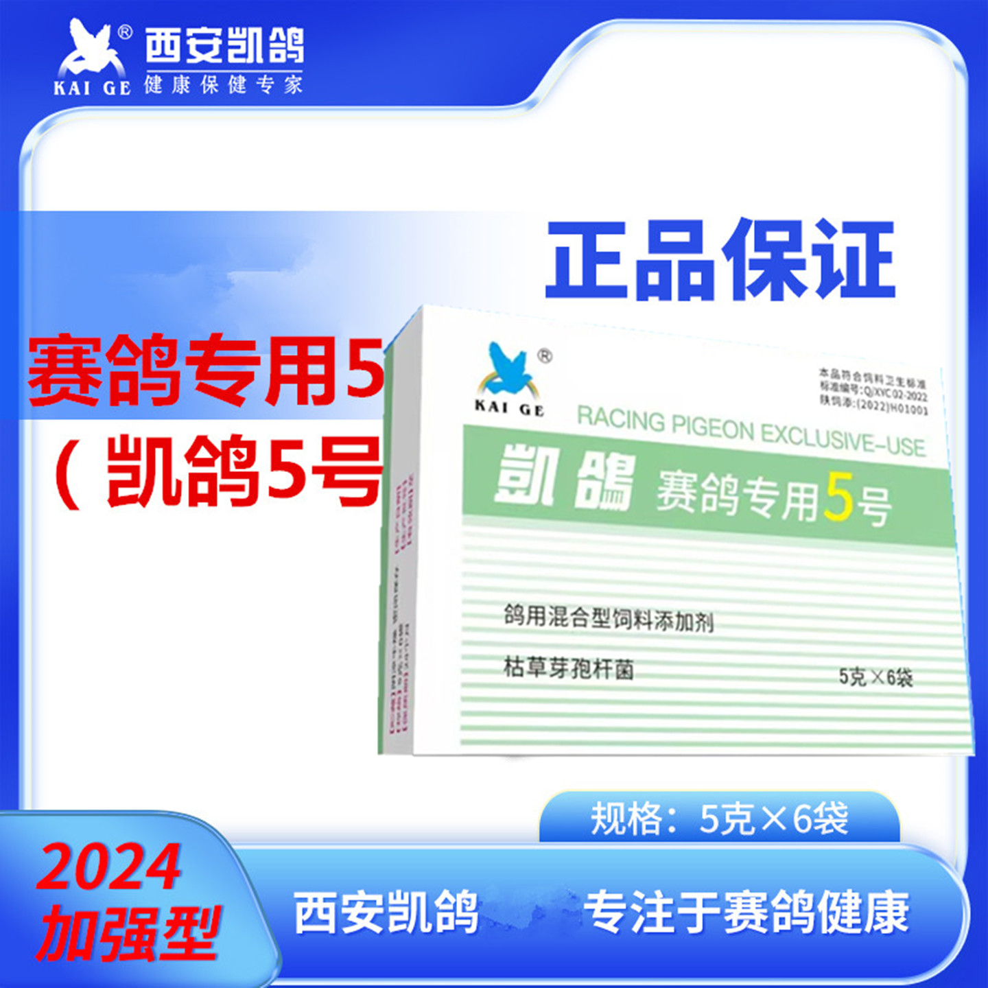 凯鸽赛鸽专用5号赛鸽子眼流泪