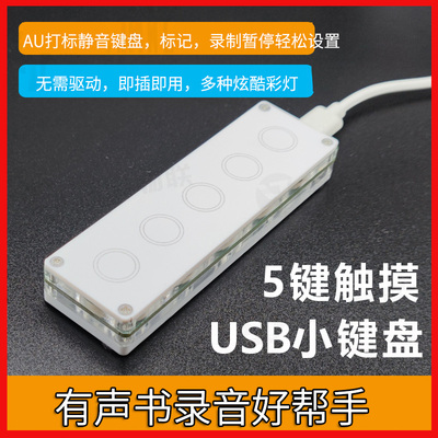 AU打标小键盘静音有线