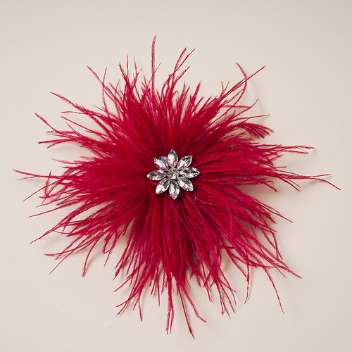 摩登舞发饰舞蹈演出头饰鸵鸟毛水钻头花发夹F075