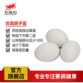 心连心 实心假鸽子蛋仿真鸽蛋非注水假蛋鸽子用品孵蛋孵化鸽具