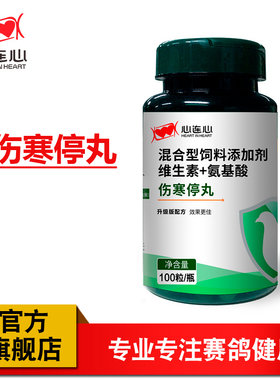 心连心鸽子伤寒停鹦鹉鸟