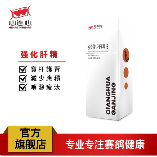 心连心肝精鸽用品清肝明目