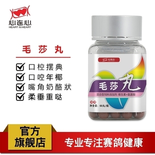 心连心鸽药大全鸽子鹦鹉鸽用调节呼吸健康口腔鸟用毛莎丸60颗