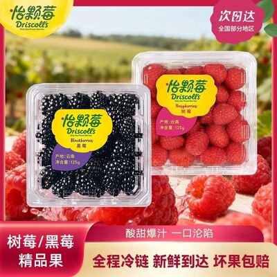 双拼云南怡颗莓黑莓鲜果当季树莓孕妇水果新鲜桑葚覆盆子顺丰快递