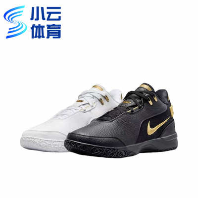 耐克Nike Lebron 布朗尼一代黑白鸳鸯低帮男子篮球鞋FJ1567-103