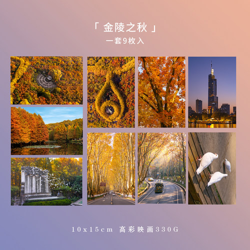 「金陵之秋」原创摄影南京梧桐大道明信片 秋天风景互寄装饰贺卡