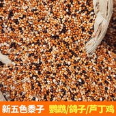 五色黍子鸟食饲料混合粮芦丁鸡谷子虎皮牡丹玄凤中小型鹦鹉1斤5斤