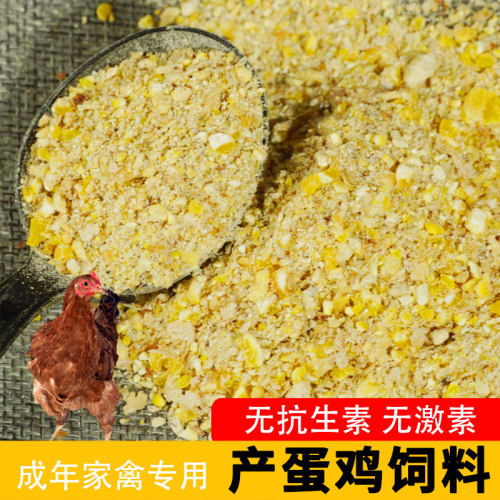 产蛋鸡全价料野生鸡饲料玉米喂鸡