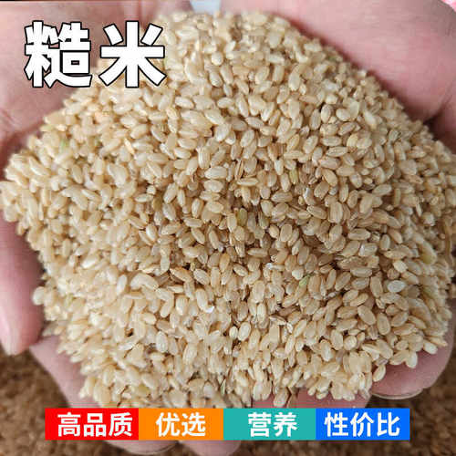 糙米喂鸡鸽粮鸽子鸽用鸡饲料粮食幼鸽信鸽赛鸽优质通用粗米50斤