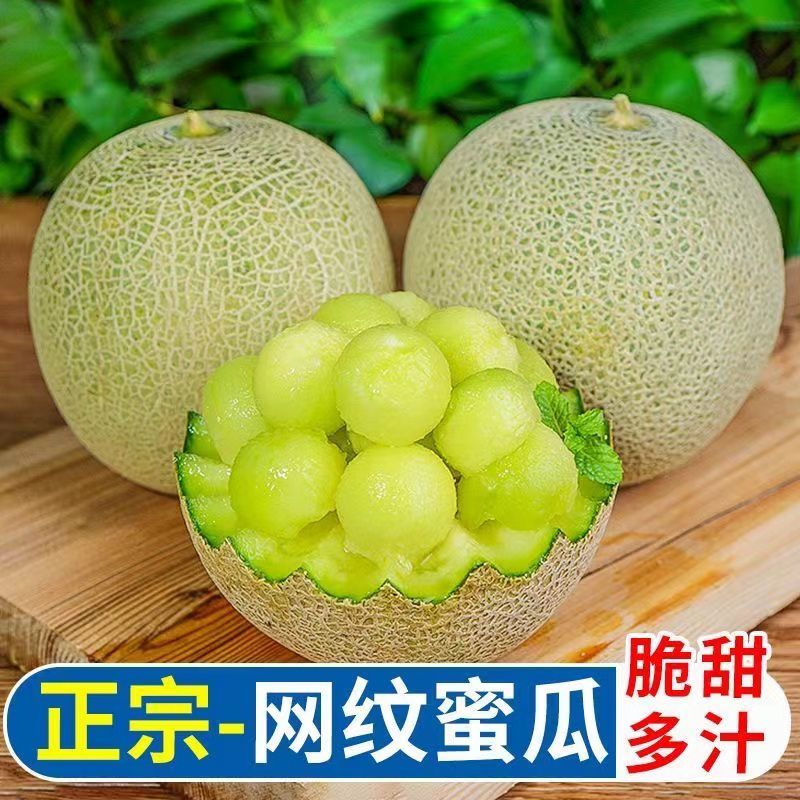 海南网红玫珑网纹蜜瓜时令绿心哈密瓜一流口感新鲜冰淇淋甜瓜当季