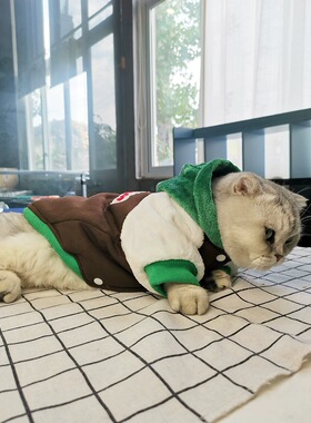 西瓜包包衣冬季猫狗宠物可爱款