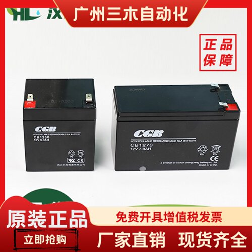 杭西奥电梯救援装置蓄电池松闸电源CGB武汉长光CB1250/1270/1240