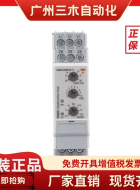 DMB01DM24 瑞士佳乐宽电压双输出 多功能时间继电器 延时继电器