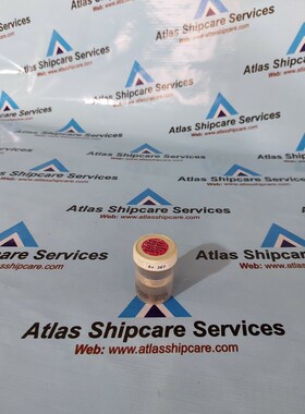 COMPACT CITICEL 1704-1898 Hidrógeno Sulfuro Sensor