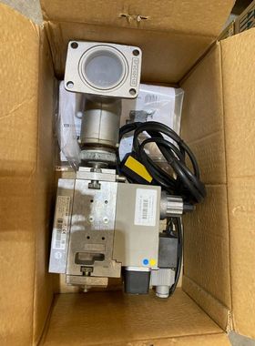 ECOFLAM 3142022 GT-D5-MBDLE410-RP25 DUNGS MB-DLE 410 B01 S50