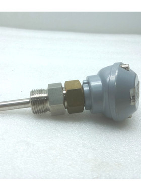 Termotech 2xPT100/2 电阻温度计 -80+600°C 2PS2BS04139