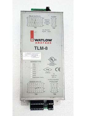 WATLOW TLM-8 Sensore Di Monitoraggio Della Temperatura Tipo