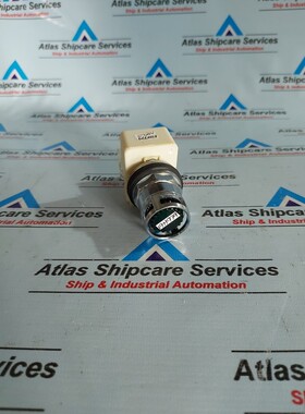 SCHNEIDER ELECTRIC 9001K3L35LGGH13 Pulsante Illuminato