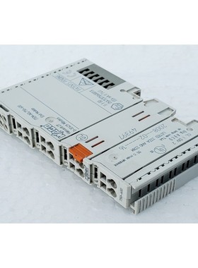 Modulo Finale Del Terminale BUS WAGO 750-600