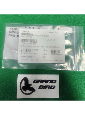 LAM RESEARCH 734-021063-224 O 形环,FEP ENCAP FKM,11.734IDX.1