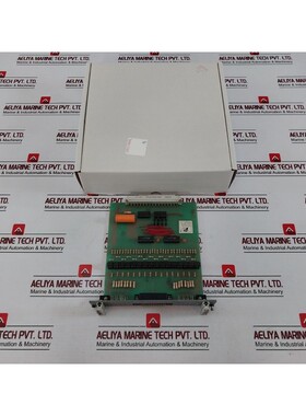 AM3 DCIP-1.2 Universal Amplifier Card 854133203P161