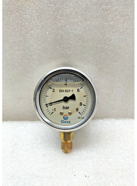 GESA CI.1.6 EN 837-1 压力测量范围 - 1 至 9 巴