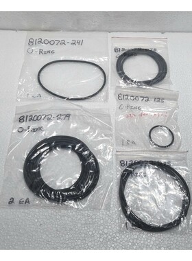 Elliott Group 4900522 Kit, O-Ring