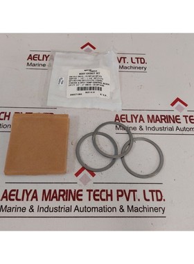 Juego De Juntas De Cuerpo Spirax Sarco 0957180